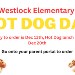 Hot dog lunch